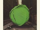 Meters-Cabbage Alley (UK IMPORT) Vinyl / 12
