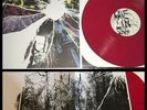 CAVE IN White Silence LP/536 The Sacrifice Poles doomriders converge HYDRA HEAD