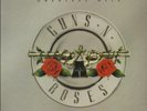 GUNS `N ` ROSES-LP- GREATEST HITS- WHITE WAX