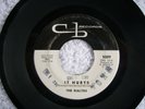 THE RIALTOS IT HURTS LET ME IN ORIG COPY DOO WOP VG+