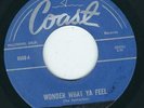 Garage Psych - Dystraction COAST 6969 Wonder what you feel / Where are we now ?