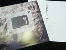 DAVID SYLVIAN:SECRETS OF THE BEEHIVE: VIRGIN V 2471: 1987 UK 12