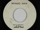 Roots Reggae 45 - Horace Andy - Skylarking - Bongoman - mp3