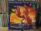 Kazumi Watanabe  -- The Spice of Life Too --- Sealed
