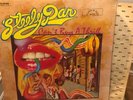 STEELY DAN 