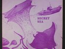 WILL JIMA: The Secret Sea LP (4