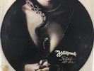 WHITESNAKE Slide It In Picture Disc VG+ Vinyl 1984 Metal UK US Remix Version