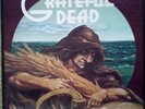 Grateful Dead - Wake Of The Flood - Original DG Heavy 1979 LP - VG+