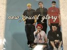NEW FOUND GLORY PICTURE DISC LP Vinyl Stormtrooper/Car RARE 894/1000 Blink 182