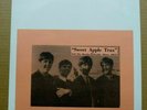 THE BEATLES Sweet Apple Trax ORIG 2-LP SWIRL VINYL Grail WIZARDO 343 TMOQ Mint-