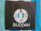 BLACK IVORY Mainline 45 rpm WHITE LABEL PROMO Buddah 1979 Mono/Stereo DISCO *