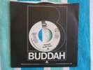 BLACK IVORY Mainline 45 rpm WHITE LABEL PROMO Buddah 1979 Mono/Stereo DISCO