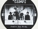 Cramps - Surfin' The Dark PICTURE DISC LP Live UK 1984 Lux Interior Poison Ivy