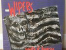 THE WIPERS - YOUTH OF AMERICA  VINYL LP (Punk + Nirvana Influence)