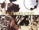 Psychedelic Furs - World Outside ( 12