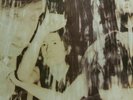 The Psychedelic Furs - Book of Days ( 12