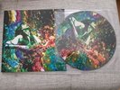 Led Zeppelin Picture Vinyl , Live at the Madison Square Garden 1975,