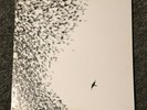 Wilco Sky Blue Sky LP 2007 VINYL GATEFOLD NONESUCH Used VG+ Very Good