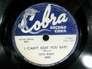 Otis Rush  Cobra 5000  I Can't Quit You Baby b/w Sit Down Baby  Shellac