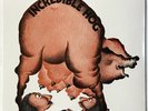INCREDIBLE HOG Volume 1 LP 1973 UK heavy hard rock blues pink vinyl reissue new