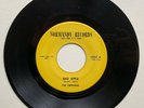 RARE  THE ORPHANS - Bad Apple/Typical Flip Side - 45 RPM - Garage