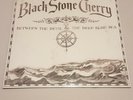 Black Stone Cherry Between The Devil & The Deep Blue Sea Vinyl LP RR7724-1 2011