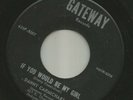 ROCKABILLY TEEN- DANNY CARMICHAEL - IF YOU WOULD BE MY GIRL - HEAR -1962 GATEWAY