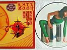 KATE BUSH - The Kick Inside - Rare UK Picture Disc LP EMI EMCP 3223  NEAR MINT