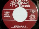 HEAR IT 60's Garage Rocker 45 rpm Robin & 3 Hoods 