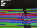 NOEL GALLAGHER'S HIGH FLYING BIRDS In The Heat Of The Moment Vinyl 12 Inch 2015