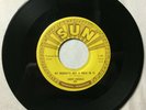 SONNY BURGESS Sweet Misery My Bucket's Got A Hole Sun 285  Degritter