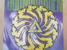 Soundgarden Badmotorfinger Vinyl LP (White Vinyl) Grunge