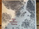 Strawbs From The Witchwood AMLH 64304 Gatefold 1971 12