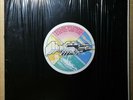 Pink Floyd WISH YOU WHERE HERE Vinyl 1980 Italy Press RARE LP (Black Cover) NM