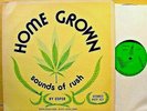 ESPER - Home Grown Sounds Of Rush - '75 PRIVATE stoner psych electronic EX LP