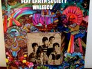 RARE 1968 LP FLAT EARTH SOCIETY FLEETWOOD 3027, EXCELLENT
