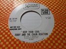 Rare Garage Record 45, Terry & The Chain Reaction, Keep Your Cool