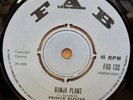 PRINCE BUSTER GANJA PLANT / CREATION OG UK FAB RECORDS 7