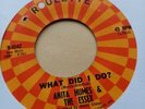 Anita Humes & The Essex - What Did I Do - US Northern Soul Roulette R-4542