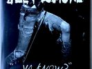 Joey Ramone “...Ya Know?” Double Vinyl LP BMG 2012