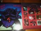 Images of Thin Lizzy ,black Rose LP BSK 3338