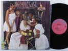 BIG DADDY KANE Long Live The Kane COLD CHILLIN' LP NM SHRINK