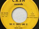 GENE CASH & COINS Try It You'll Like It OBSCURE SOUL FUNK PSYCH FUZZ 45 *hear*