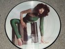 Kate Bush The Kick Inside Picture Disc 1978 1st edition EMCP 3223 UK EX