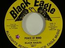 Black Eagles ft. Jah T 