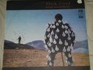 Pink Floyd Delicate Sound Of Thunder 1990 Scarce Russian USSR Press 2x Vinyl LP