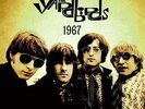 Yardbirds - Live In Stockholm & Offenbach 1967 (Vinyl Used Very Good)