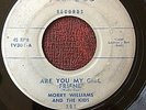 DOO WOP 45 MORRY WILLIAMS & KIDS Tee Vee 301 ARE YOU MY GIRLFRIEND / LOUISE