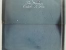 1973 THE WAILERS 