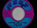 Northern Soul 45 JO-ANN ALSTON Looking Like A Fool/He Left Me Crying on Vest